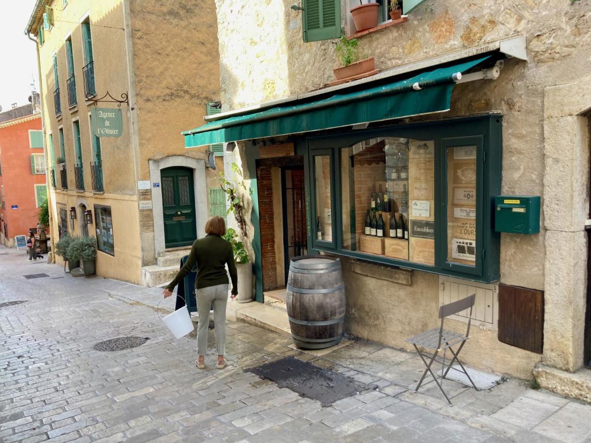 5 Star Rated Exclusive House In Valbonne Village Экстерьер фото
